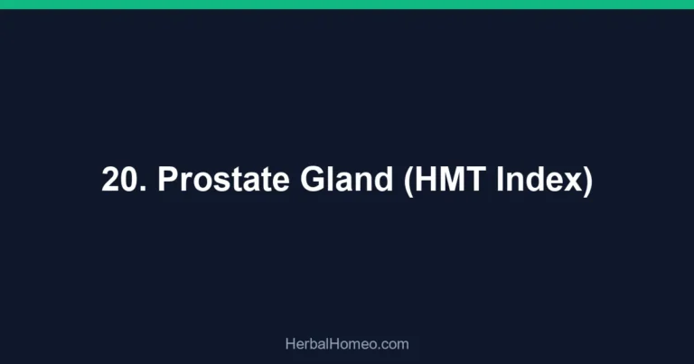20. Prostate Gland (HMT Index)