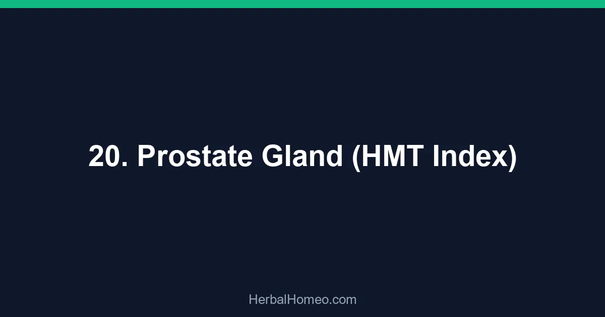 20. Prostate Gland (HMT Index)
