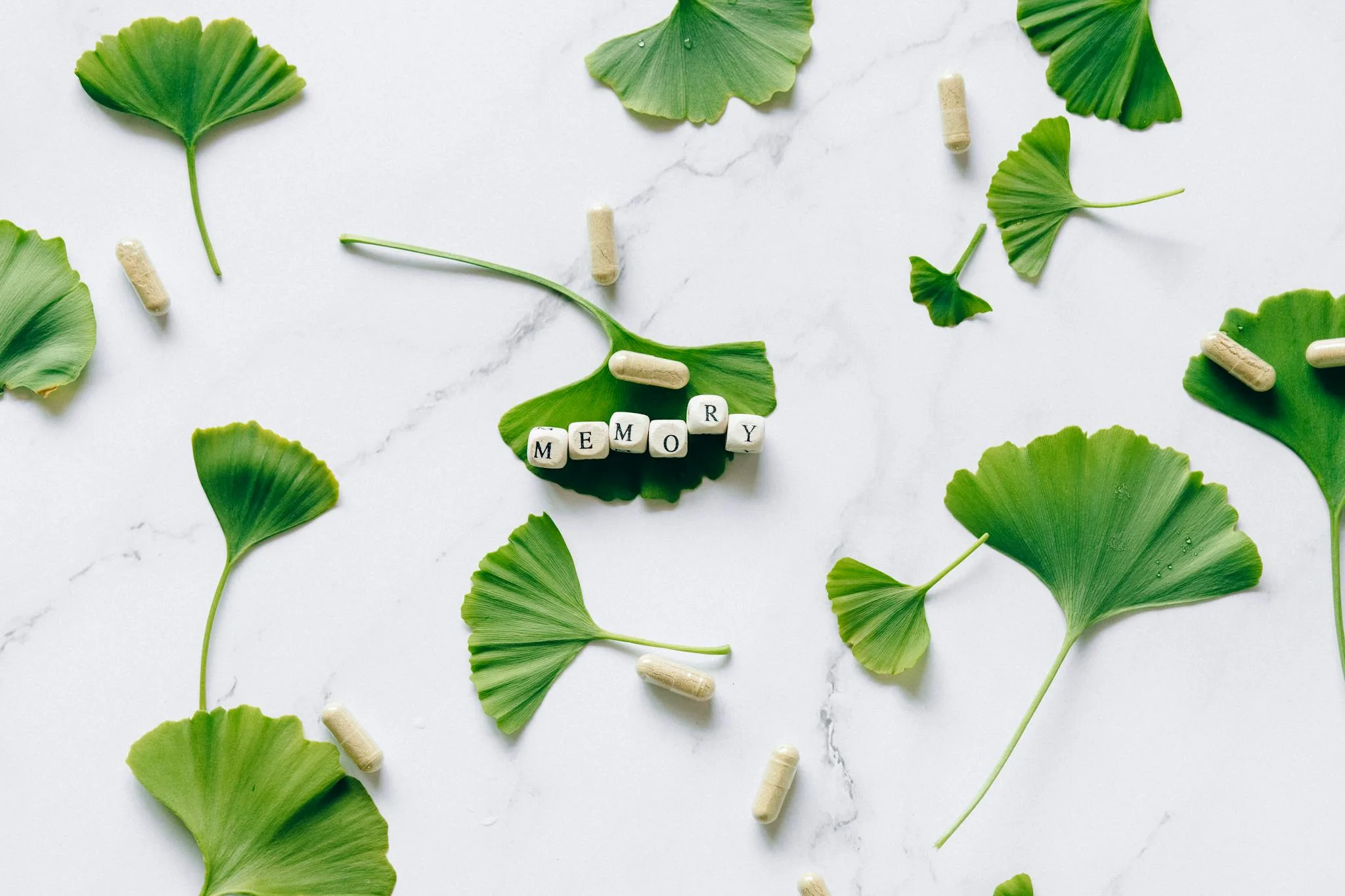 arranged ginkgo leaves and capsules on marble