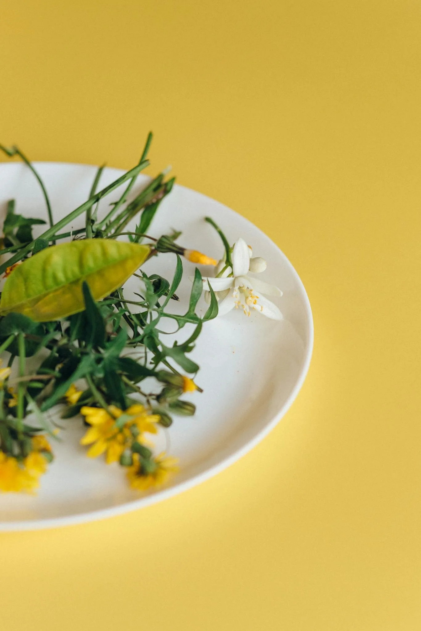 green vegetable on white ceramic plate