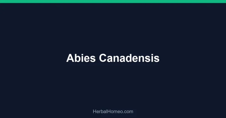 Abies Canadensis