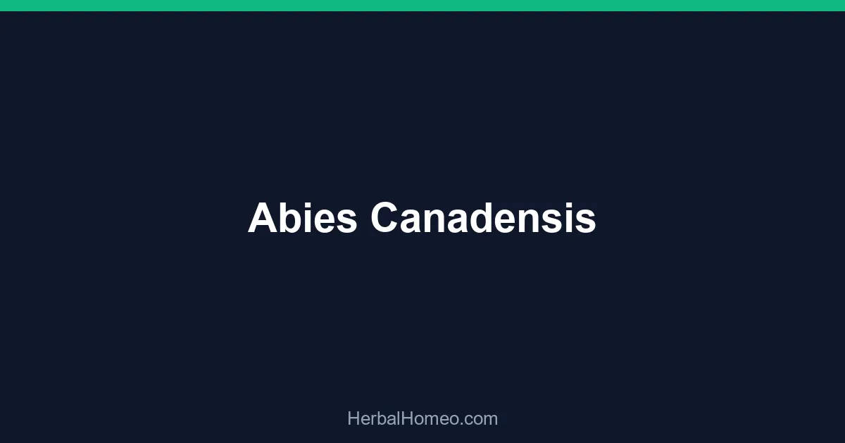 Abies Canadensis