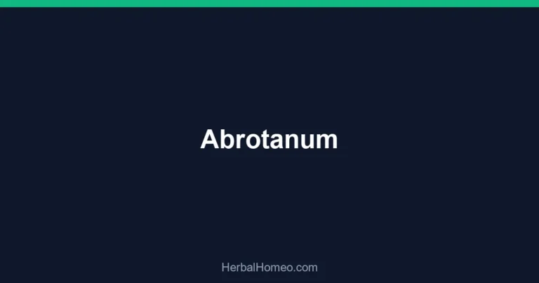 Abrotanum
