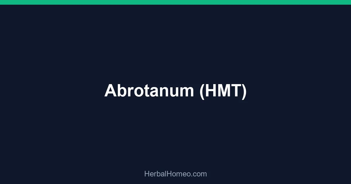 Abrotanum (HMT)