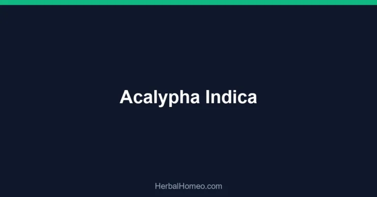 Acalypha Indica
