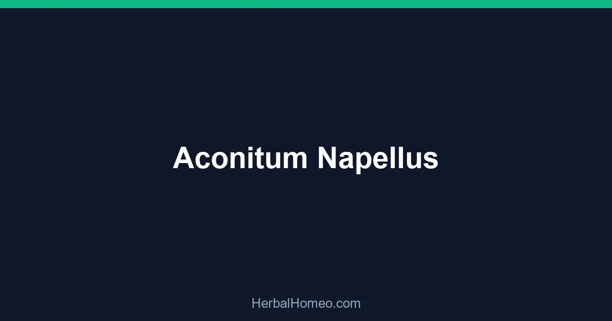 Aconitum Napellus