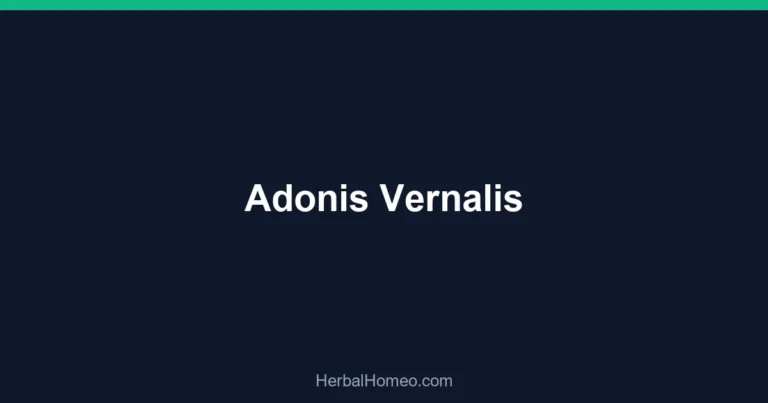 Adonis Vernalis