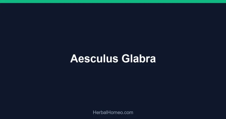 Aesculus Glabra