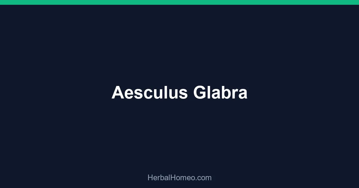 Aesculus Glabra