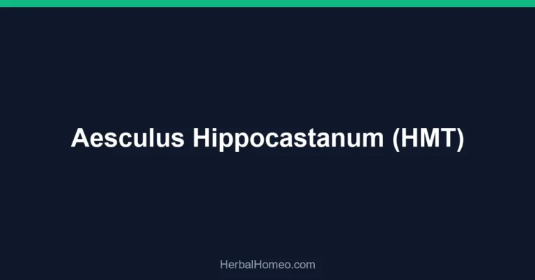 Aesculus Hippocastanum (HMT)