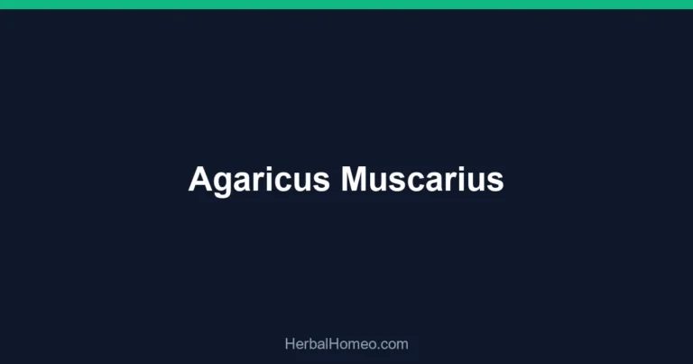 Agaricus Muscarius