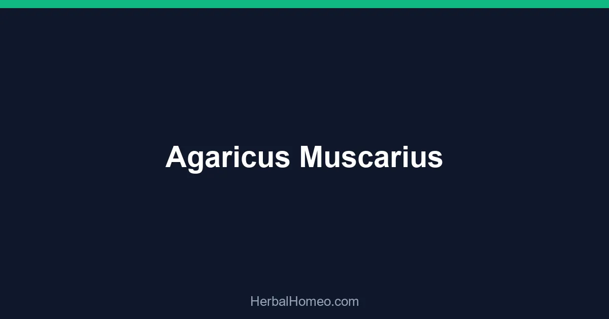 Agaricus Muscarius