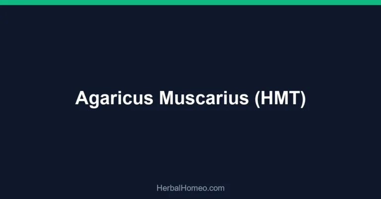 Agaricus Muscarius (HMT)