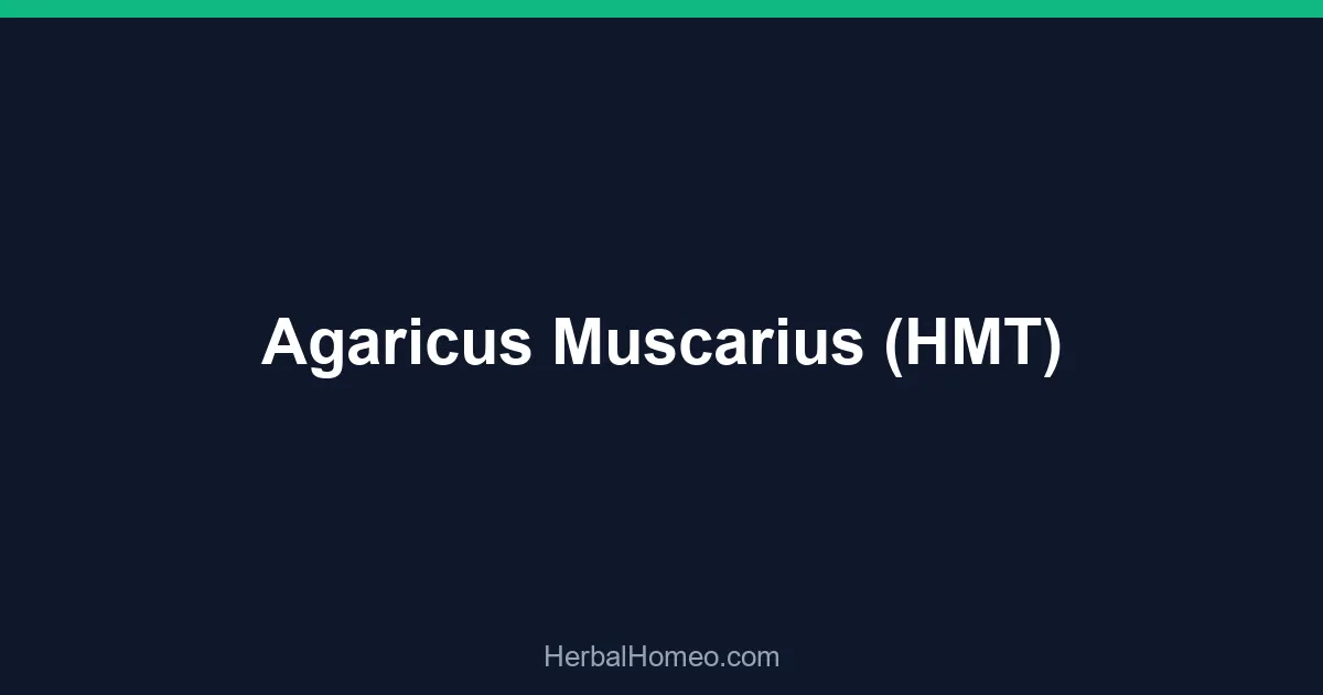 Agaricus Muscarius (HMT)