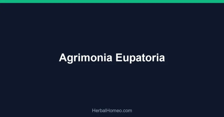 Agrimonia Eupatoria