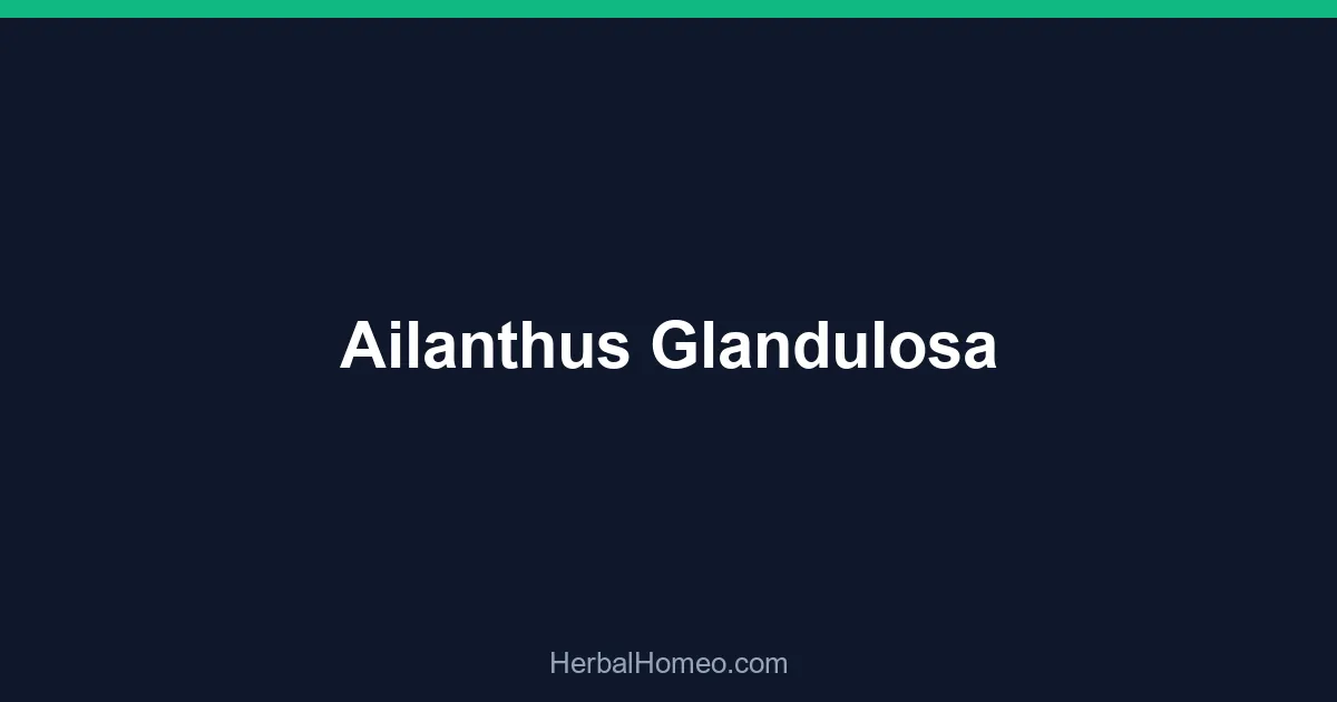 Ailanthus Glandulosa