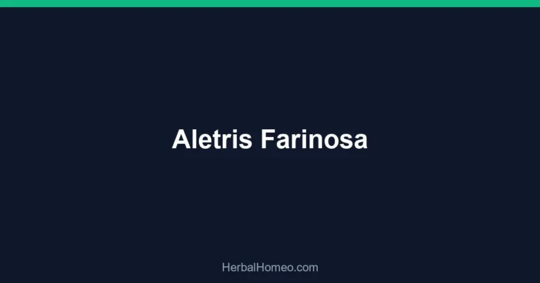 Aletris Farinosa