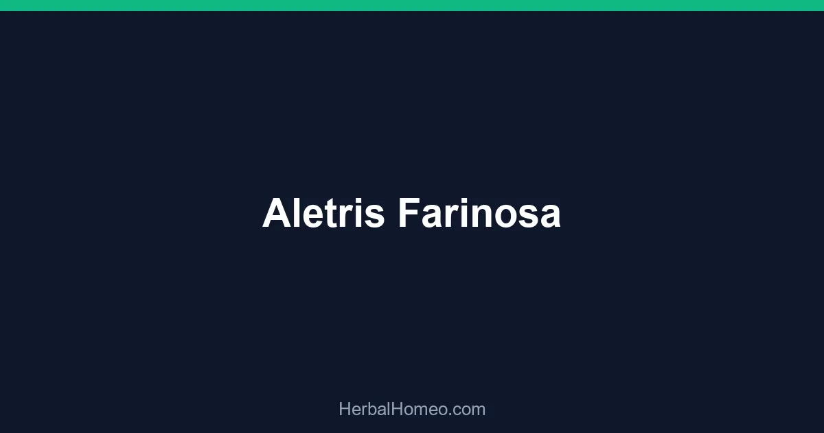 Aletris Farinosa