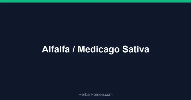 Alfalfa / Medicago Sativa