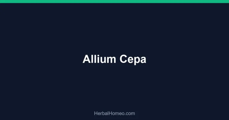 Allium Cepa