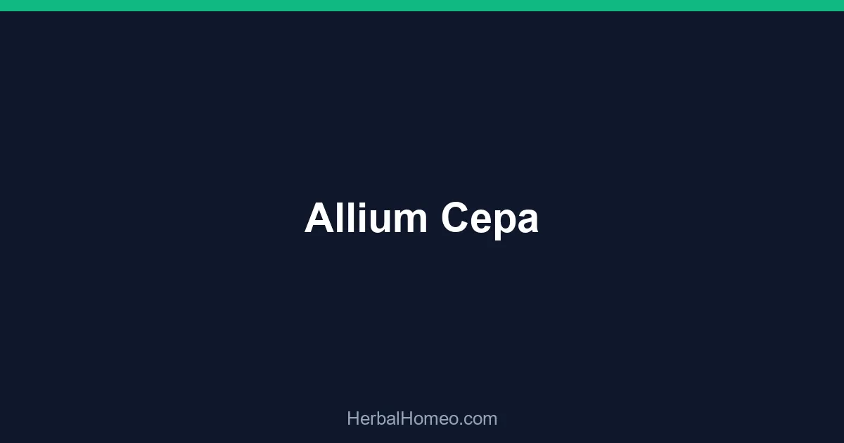 Allium Cepa