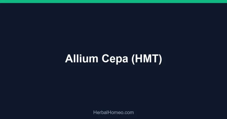 Allium Cepa (HMT)