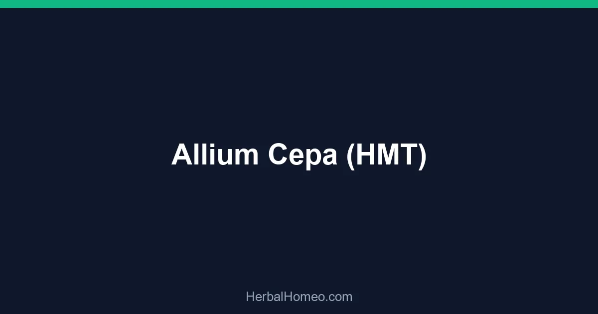Allium Cepa (HMT)
