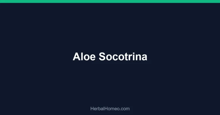 Aloe Socotrina