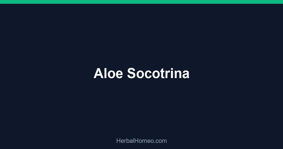 Aloe Socotrina