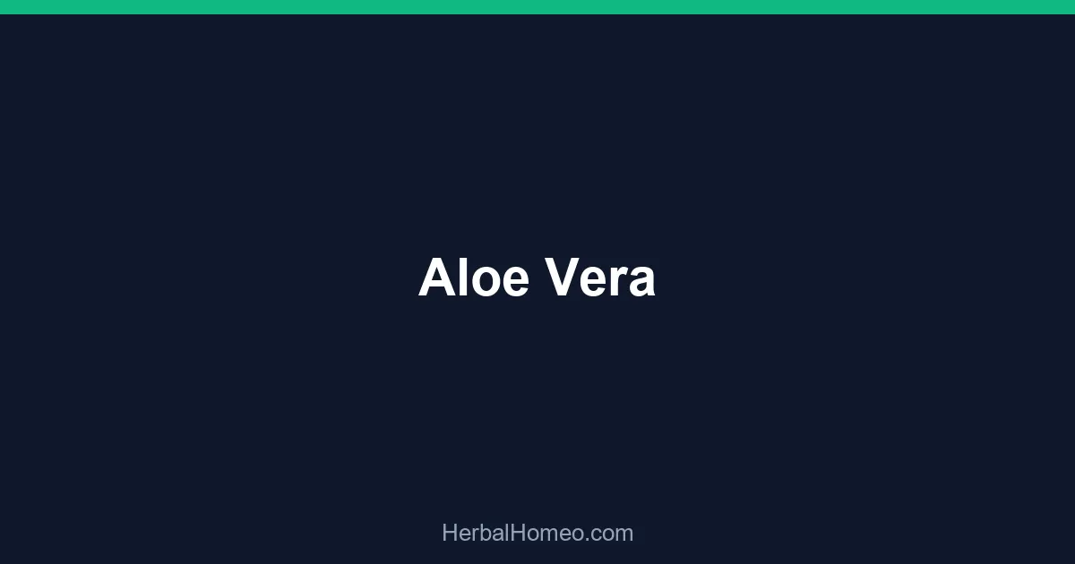 Aloe Vera