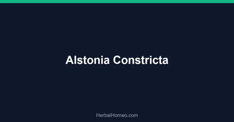 Alstonia Constricta