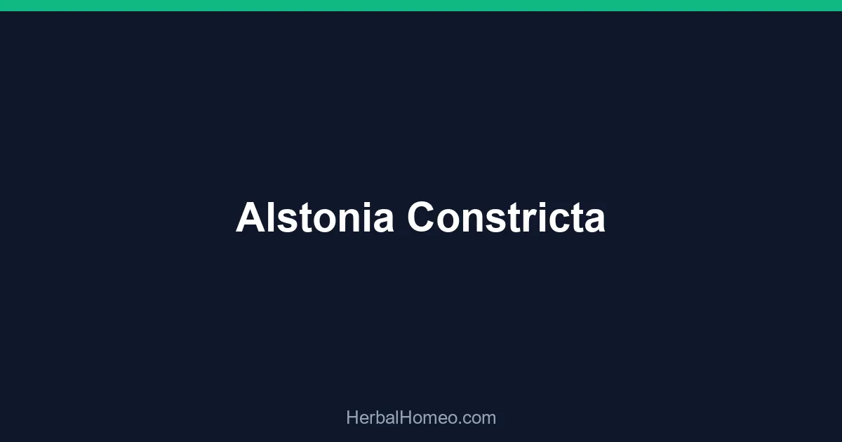 Alstonia Constricta