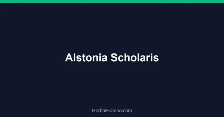 Alstonia Scholaris