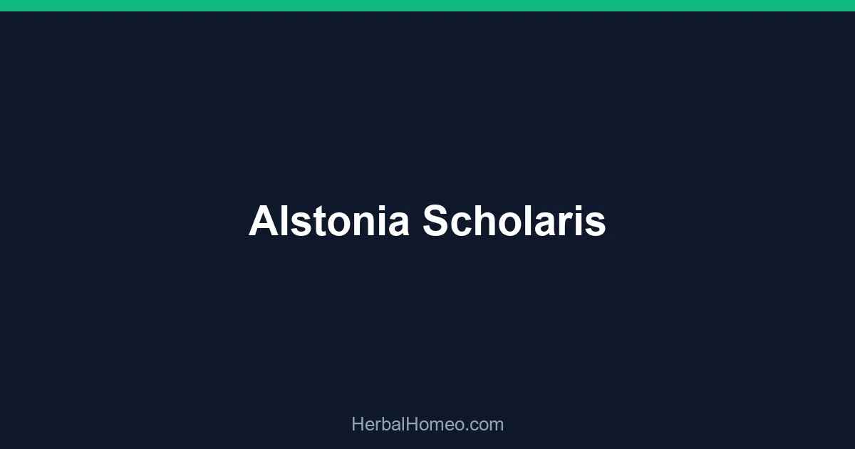 Alstonia Scholaris