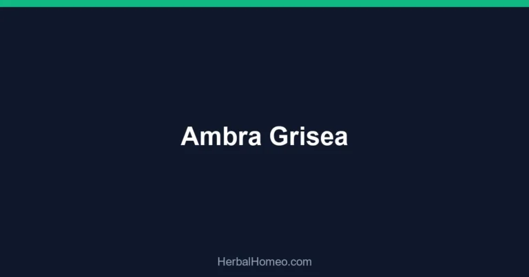 Ambra Grisea