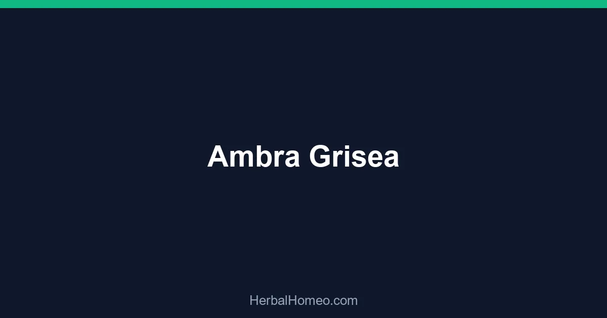 Ambra Grisea