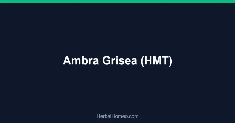 Ambra Grisea (HMT)