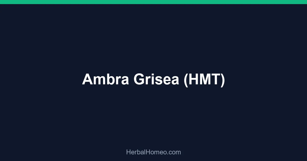 Ambra Grisea (HMT)