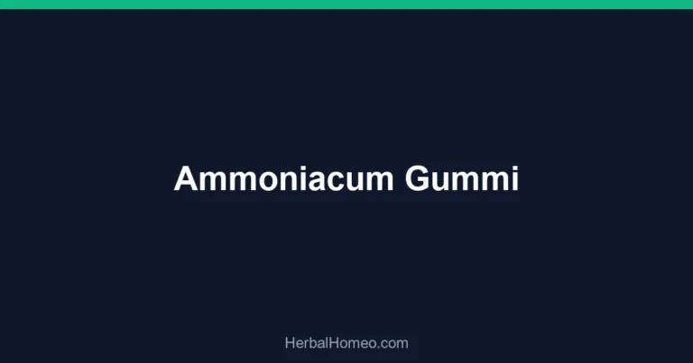 Ammoniacum Gummi