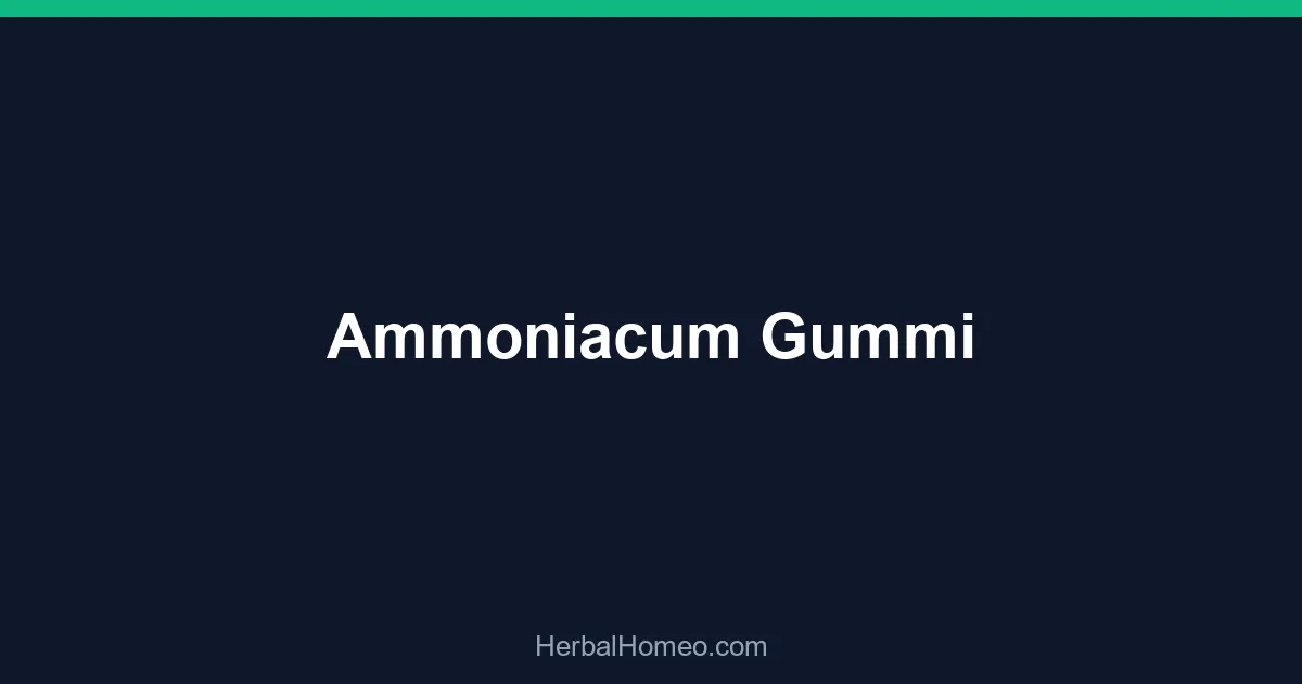 Ammoniacum Gummi