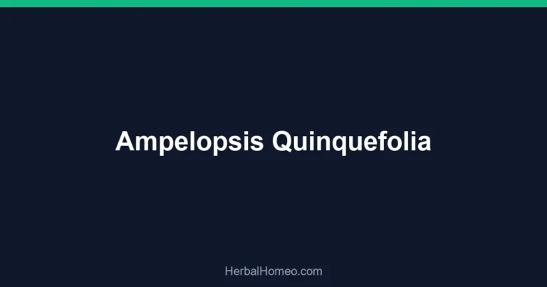 Ampelopsis Quinquefolia