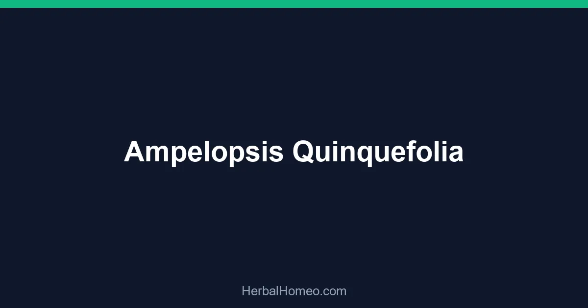 Ampelopsis Quinquefolia