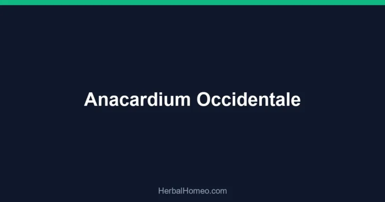 Anacardium Occidentale