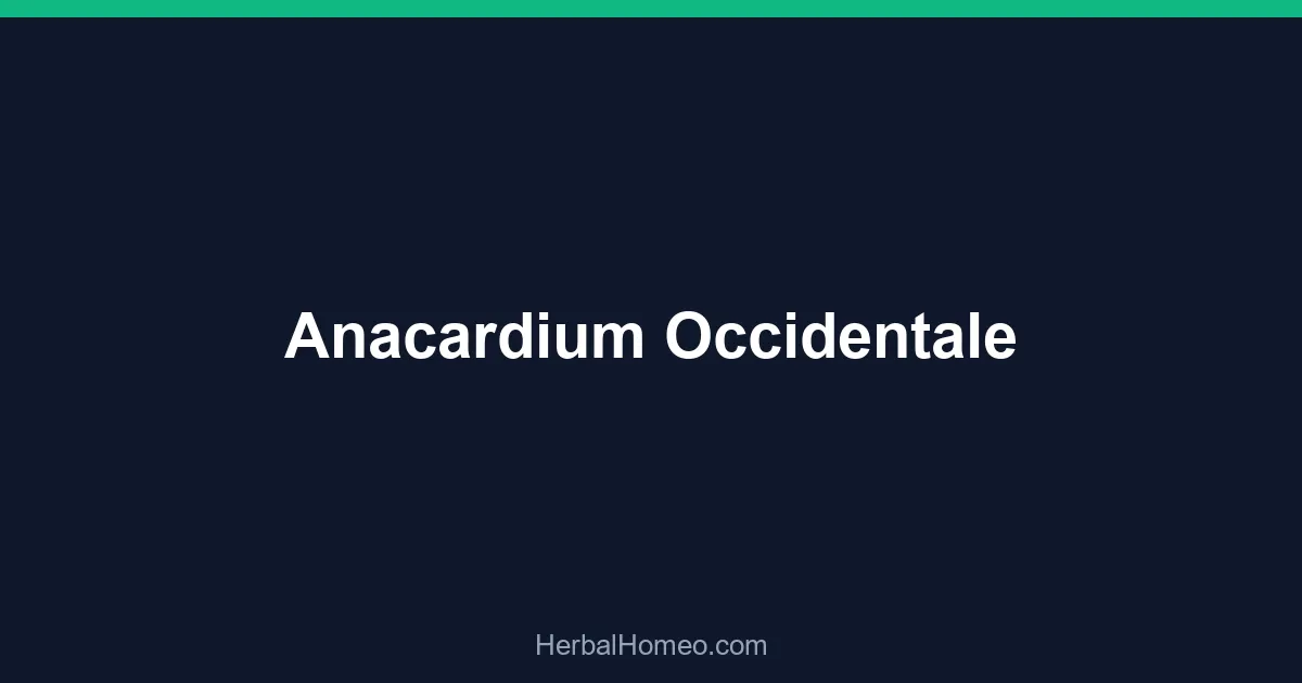 Anacardium Occidentale