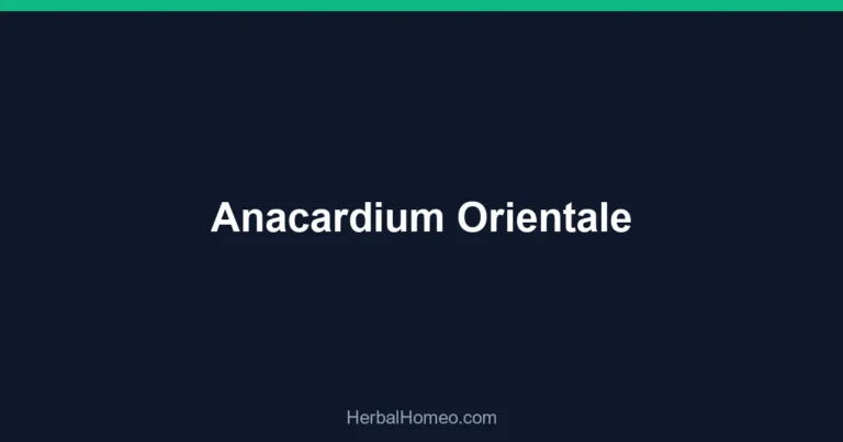 Anacardium Orientale