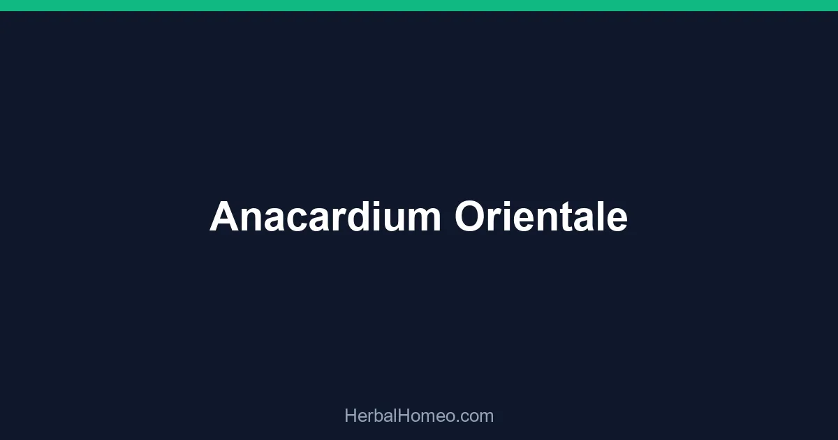 Anacardium Orientale