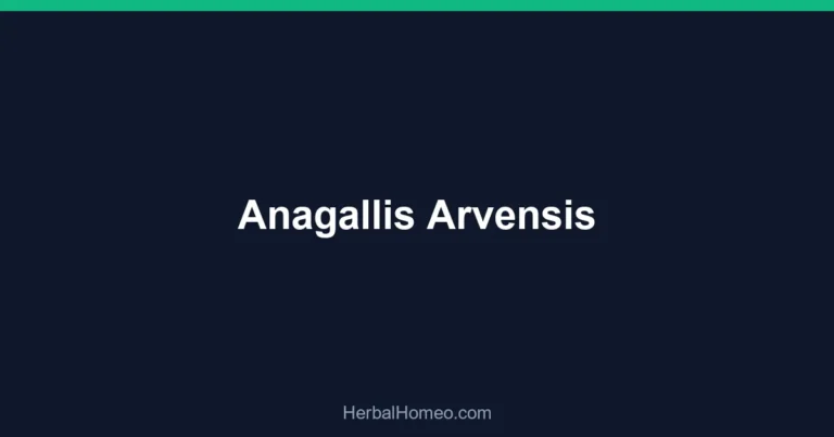 Anagallis Arvensis