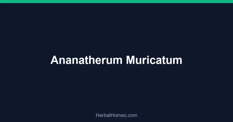 Ananatherum Muricatum