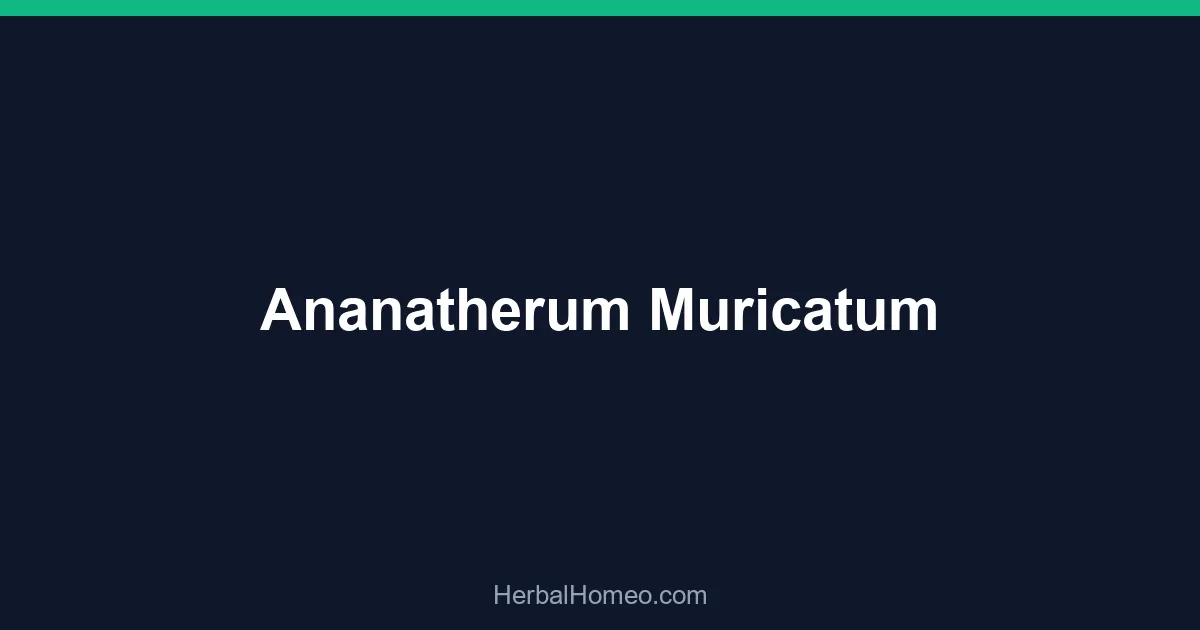 Ananatherum Muricatum
