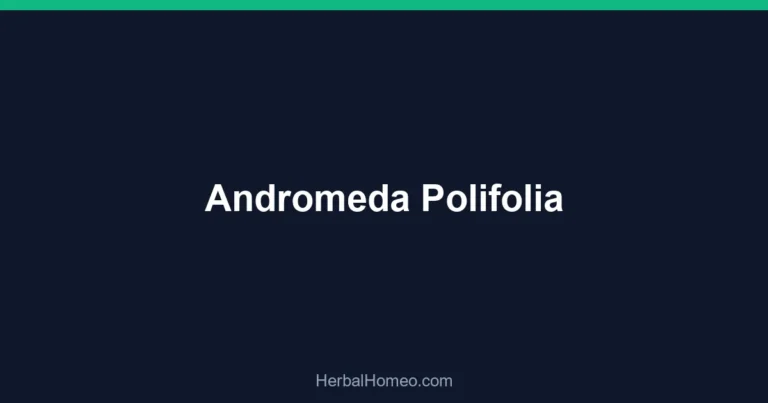 Andromeda Polifolia
